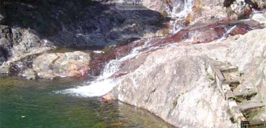 Fazenda São Roque com 96,1 hectares em Gravatal – SC
