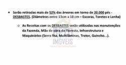 Fazenda São Roque com 96,1 hectares em Gravatal – SC