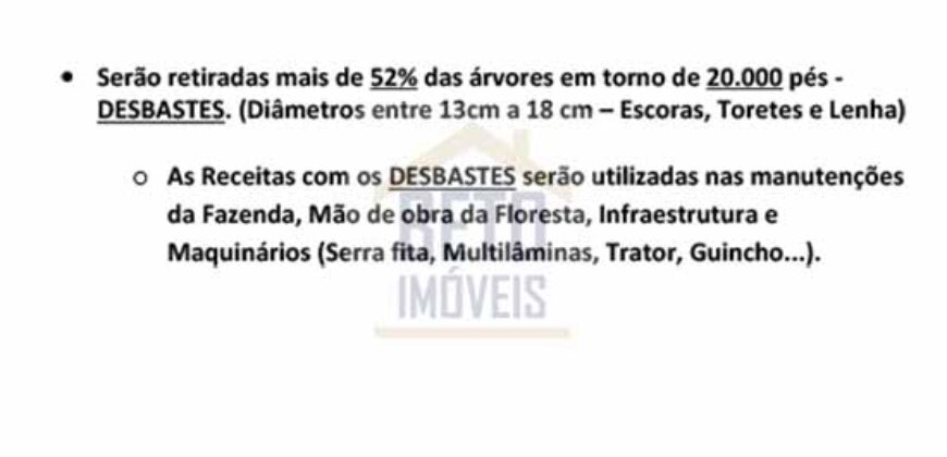 Fazenda São Roque com 96,1 hectares em Gravatal – SC
