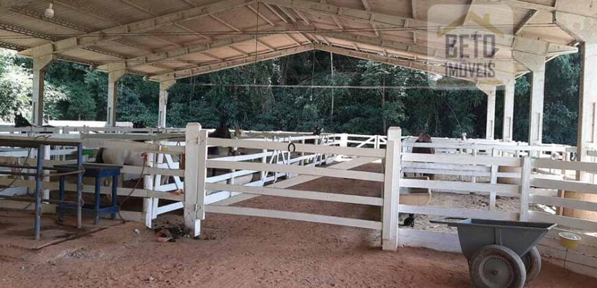 Fazenda centenária com todo mobiliário da época entre Valência e Vassouras