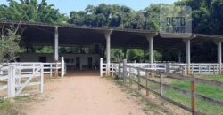 Fazenda centenária com todo mobiliário da época entre Valência e Vassouras