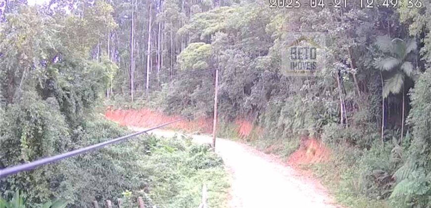 Fazenda São Roque com 96,1 hectares em Gravatal – SC