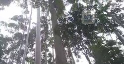 Fazenda São Roque com 96,1 hectares em Gravatal – SC