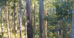 Fazenda São Roque com 96,1 hectares em Gravatal – SC