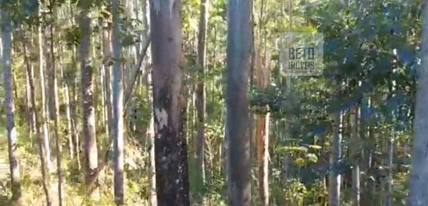 Fazenda São Roque com 96,1 hectares em Gravatal – SC