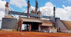 Fazenda com dupla aptidão disponível para venda em Carolina – Maranhão