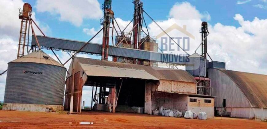 Fazenda com dupla aptidão disponível para venda em Carolina – Maranhão