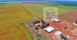 Fazenda com dupla aptidão disponível para venda em Carolina – Maranhão