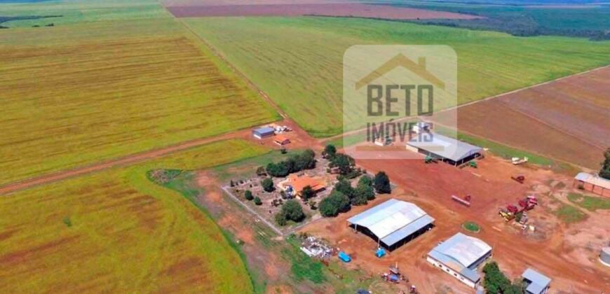 Fazenda com dupla aptidão disponível para venda em Carolina – Maranhão