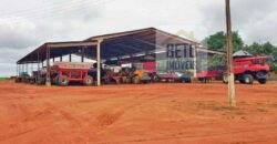 Fazenda com dupla aptidão disponível para venda em Carolina – Maranhão