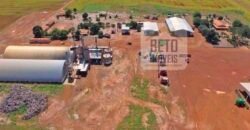 Fazenda com dupla aptidão disponível para venda em Carolina – Maranhão