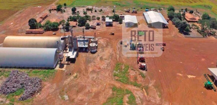 Fazenda com dupla aptidão disponível para venda em Carolina – Maranhão