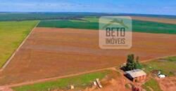 Fazenda com dupla aptidão disponível para venda em Carolina – Maranhão