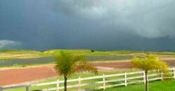 Fazenda à Venda, 6.000 hectares em Nova Olinda do Maranhão – MA
