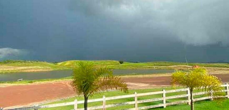 Fazenda à Venda, 6.000 hectares em Nova Olinda do Maranhão – MA
