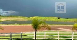 Fazenda à Venda, 6.000 hectares em Nova Olinda do Maranhão – MA