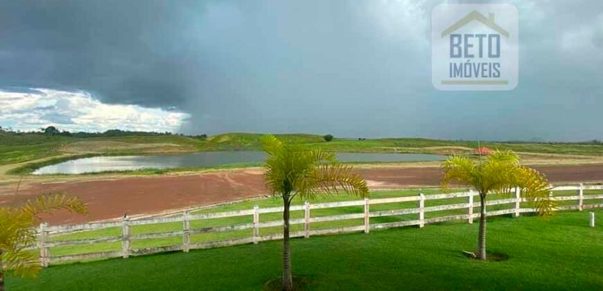 Fazenda à Venda, 6.000 hectares em Nova Olinda do Maranhão – MA