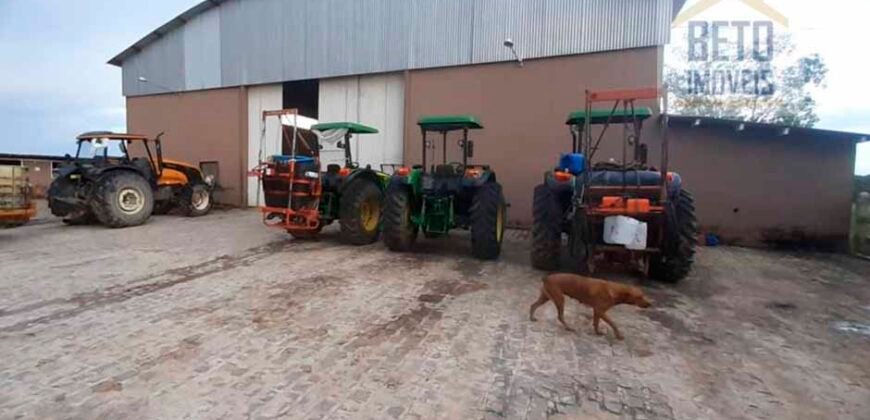 Fazenda à Venda, 6.000 hectares em Nova Olinda do Maranhão – MA