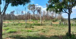 Fazenda com plantação/1574 hectares em União do Sul – MT