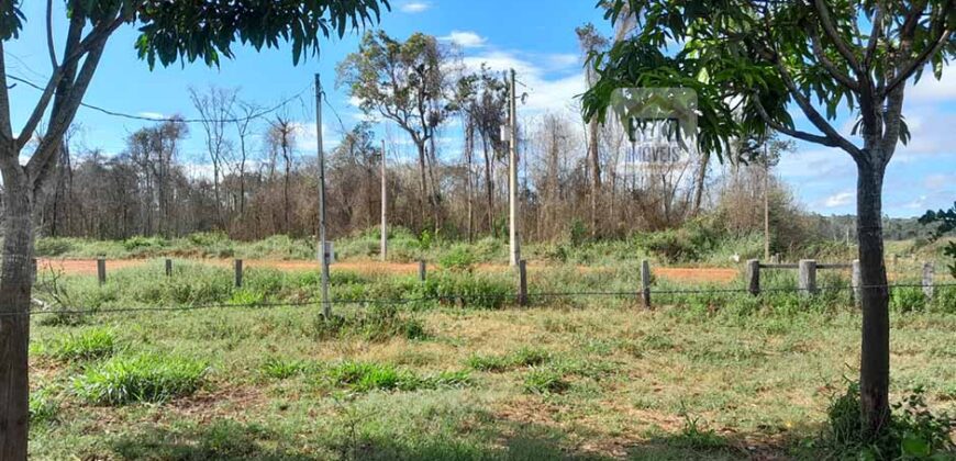 Fazenda com plantação/1574 hectares em União do Sul – MT