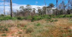 Fazenda com plantação/1574 hectares em União do Sul – MT