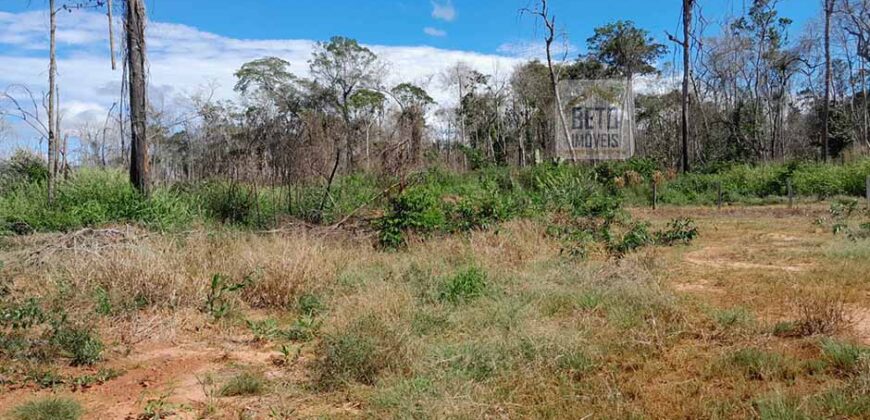 Fazenda com plantação/1574 hectares em União do Sul – MT