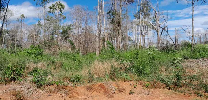 Fazenda com plantação/1574 hectares em União do Sul – MT