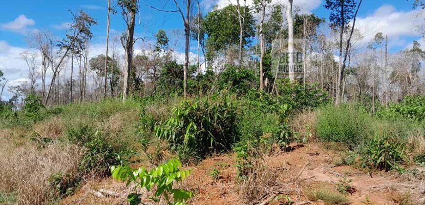 Fazenda com plantação/1574 hectares em União do Sul – MT