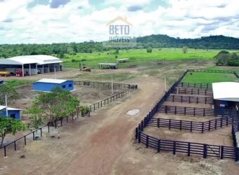 Fazenda c/ pecuária intensiva 570 alqueires em Vila Rica – MT