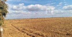 Fazenda para lavoura à Venda, 2.356 hectares em Unaí Minas Gerais