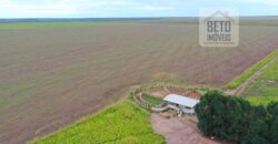 Fazenda à Venda 2618 hectares com plantio e produção ótima localização Alagoinha PI