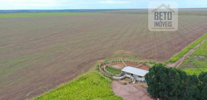 Fazenda à Venda 2618 hectares com plantio e produção ótima localização Alagoinha PI