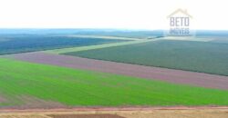 Fazenda à Venda 2618 hectares com plantio e produção ótima localização Alagoinha PI