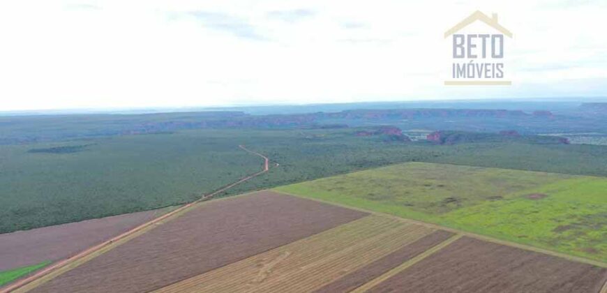 Fazenda à Venda 2618 hectares com plantio e produção ótima localização Alagoinha PI