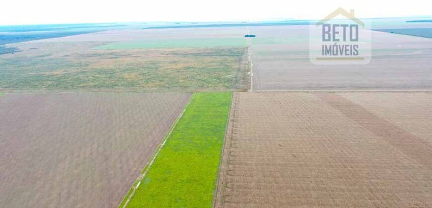 Fazenda à Venda 2618 hectares com plantio e produção ótima localização Alagoinha PI