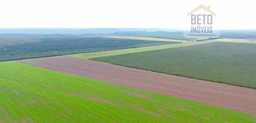 Fazenda à Venda 2618 hectares com plantio e produção ótima localização Alagoinha PI