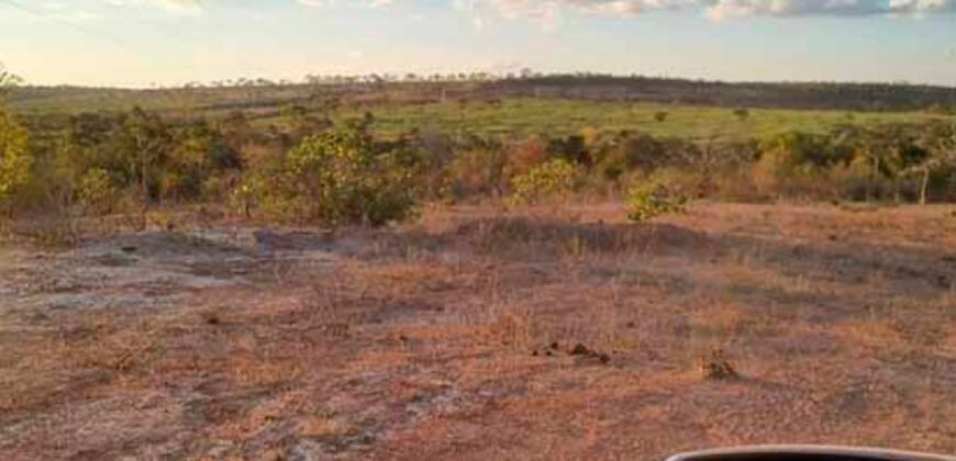 Fazenda à Venda, 780 alqueires em Pintópolis – MG