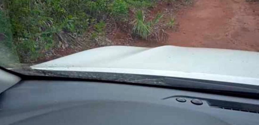 Fazenda toda no cerrado 3.305 Alqueires. em Alto Parnaíba – MA