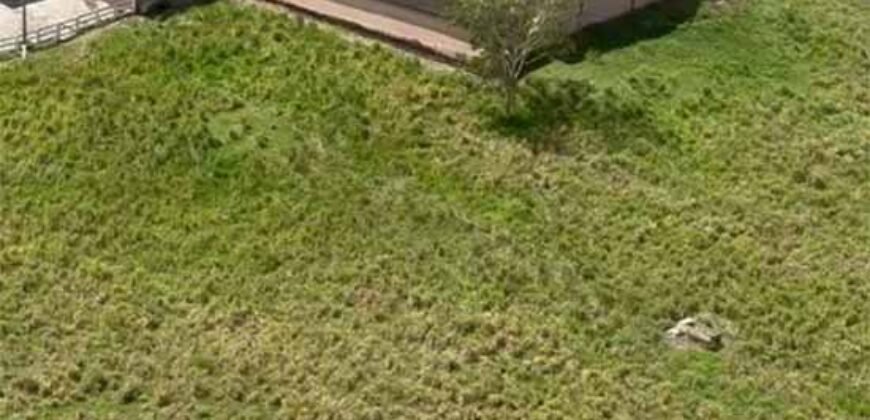 Fazenda à Venda, 6.000 hectares em Nova Olinda do Maranhão – MA