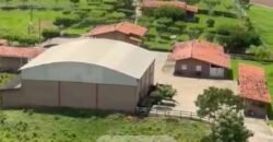 Fazenda à Venda, 6.000 hectares em Nova Olinda do Maranhão – MA