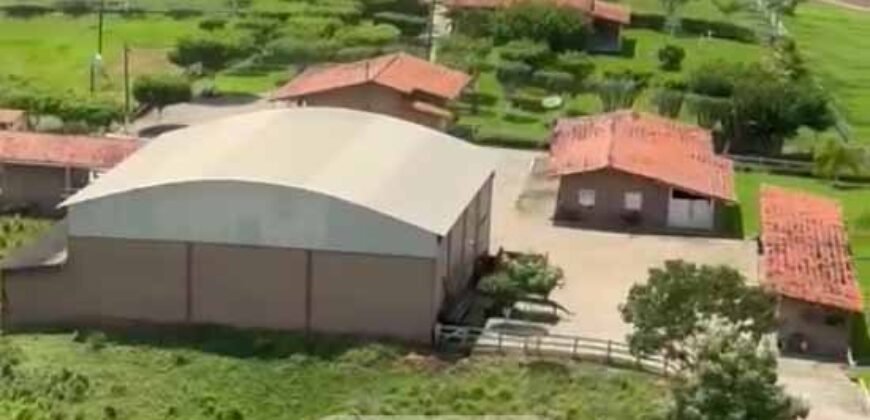 Fazenda à Venda, 6.000 hectares em Nova Olinda do Maranhão – MA