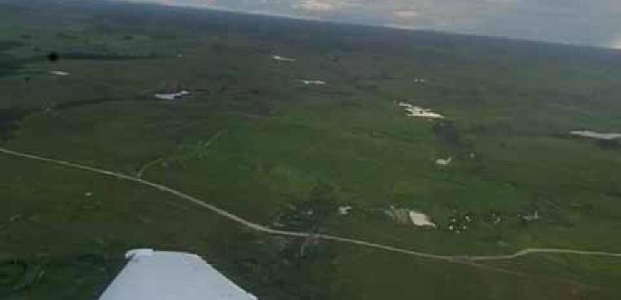 Fazenda à Venda, 6.000 hectares em Nova Olinda do Maranhão – MA