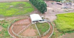 Fazenda à Venda 2618 hectares com plantio e produção ótima localização Alagoinha PI