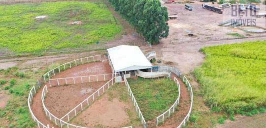 Fazenda à Venda 2618 hectares com plantio e produção ótima localização Alagoinha PI