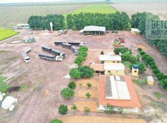 Fazenda à Venda 2618 hectares com plantio e produção ótima localização Alagoinha PI