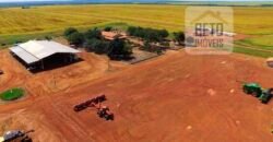 Fazenda com dupla aptidão disponível para venda em Carolina – Maranhão