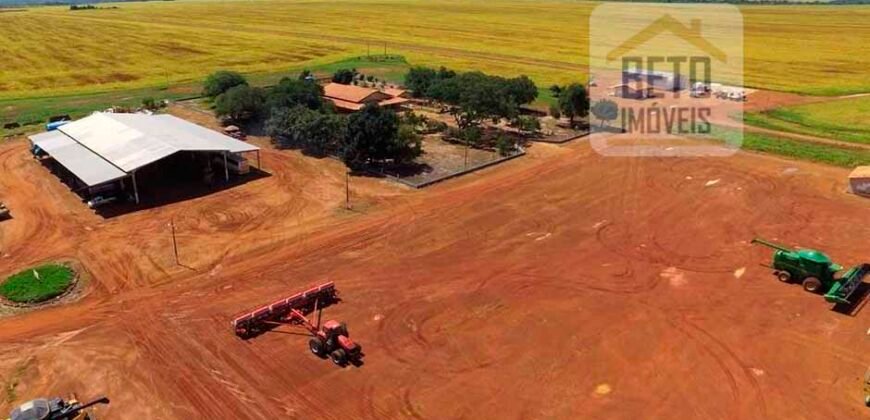 Fazenda com dupla aptidão disponível para venda em Carolina – Maranhão