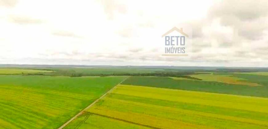 Fazenda com dupla aptidão disponível para venda em Carolina – Maranhão