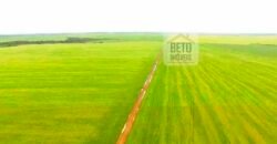 Fazenda com dupla aptidão disponível para venda em Carolina – Maranhão