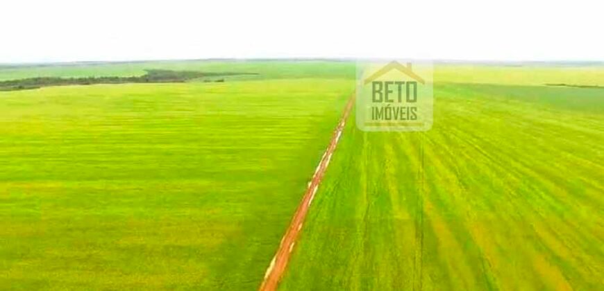 Fazenda com dupla aptidão disponível para venda em Carolina – Maranhão